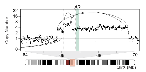 Structural rearrangements in cancer genomes.