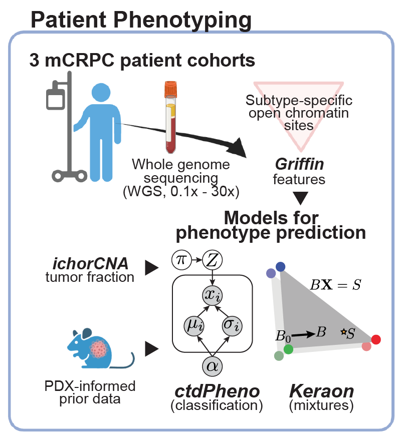 Patient phenotyping.