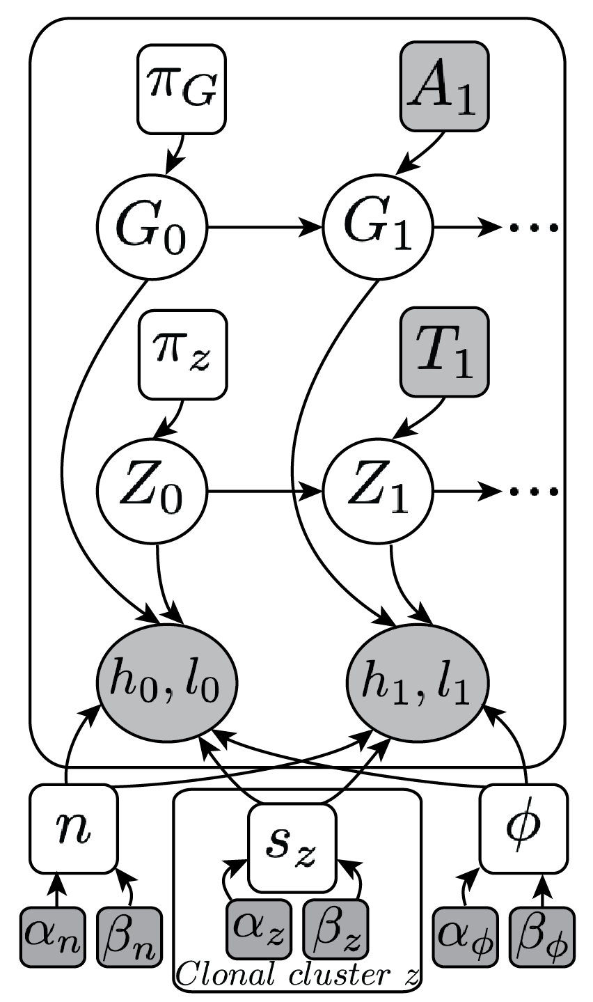 Probabilistic graphical model of TITAN