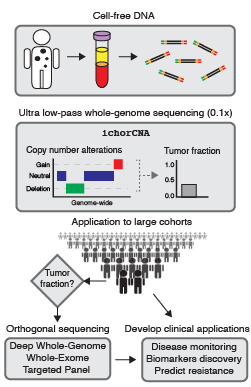 Whole genome and exome analysis of cell-free DNA from cancer patients.