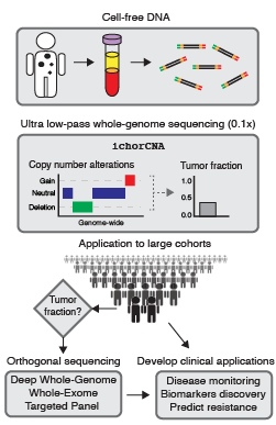 Enabling low-pass whole genome sequencing